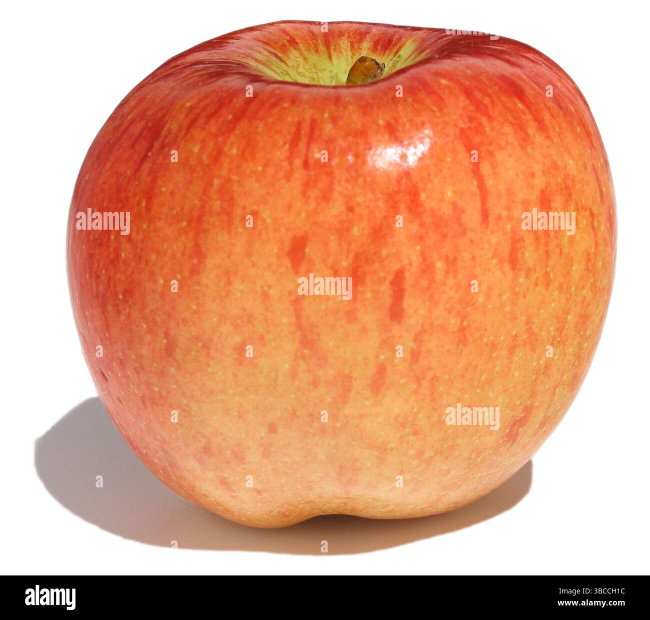 braeburn apple photographed on a white background Stock Photo