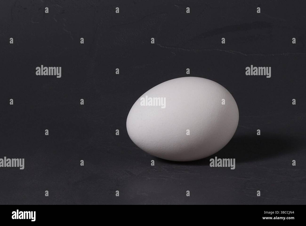 Chicken egg white single on a dark background. Stock Photo