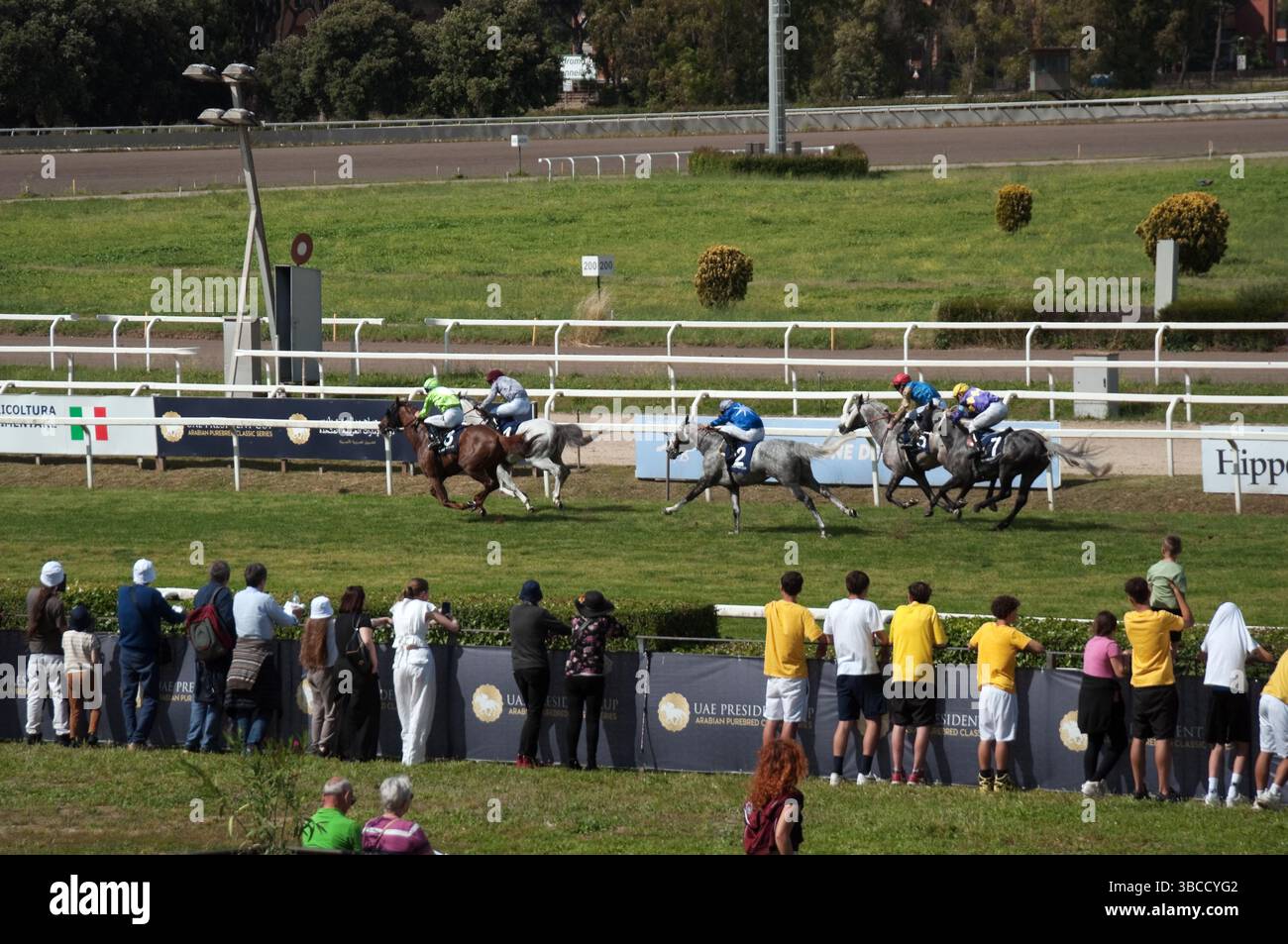 UAE President Cup 2025 at Capannelle hyppodrome. Horses and jockeys approaching finish line. Stock Photo