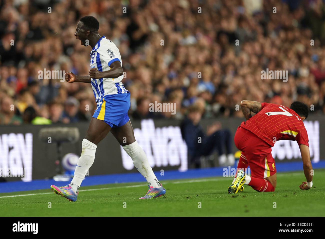 Liverpool Push for Yankuba Minteh: Brighton Rejects Multi-Million Pound Bids Liverpool Push for Yankuba Minteh: Brighton Rejects Multi-Million Pound Bids
