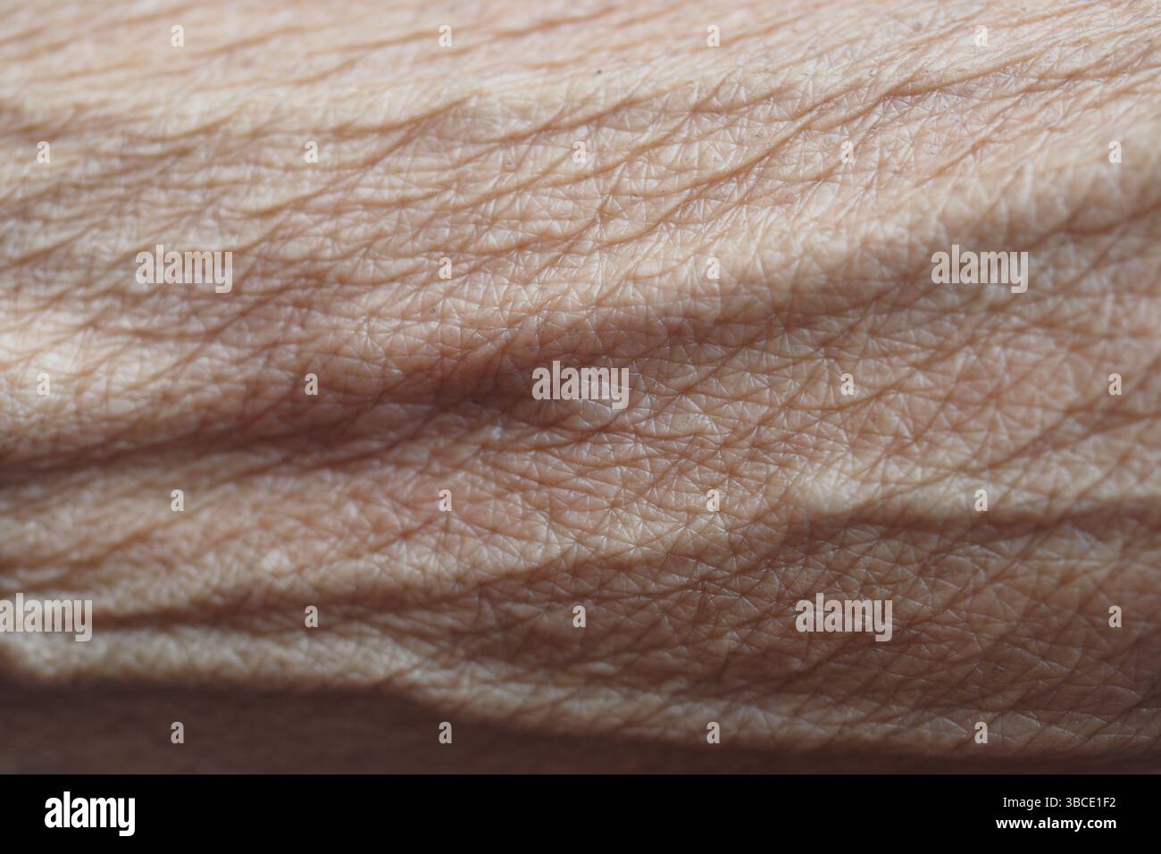 Skin, close up human body hi-res stock photography and images - Alamy