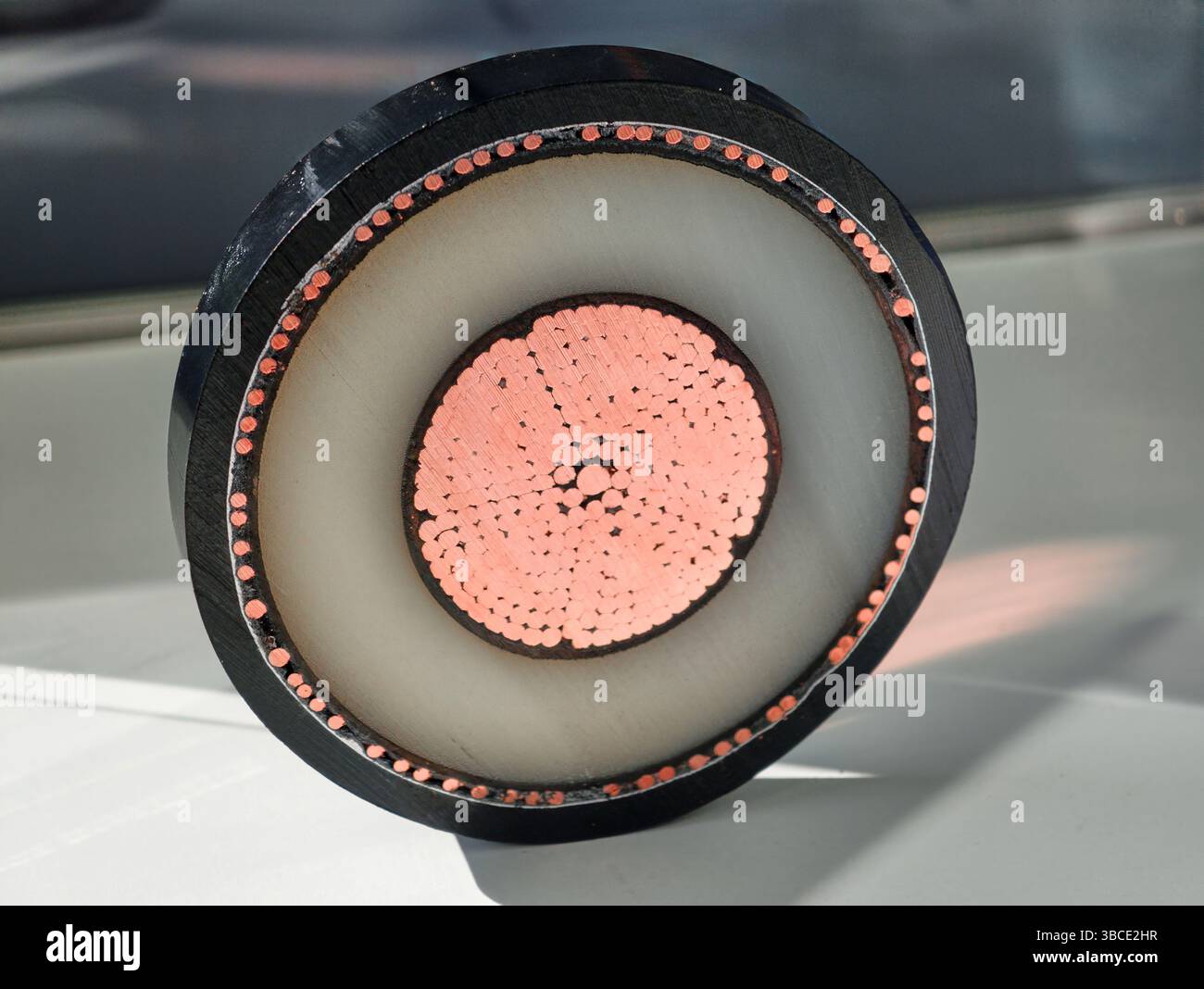 Exploring the intricate cross section of a power electric cable ...