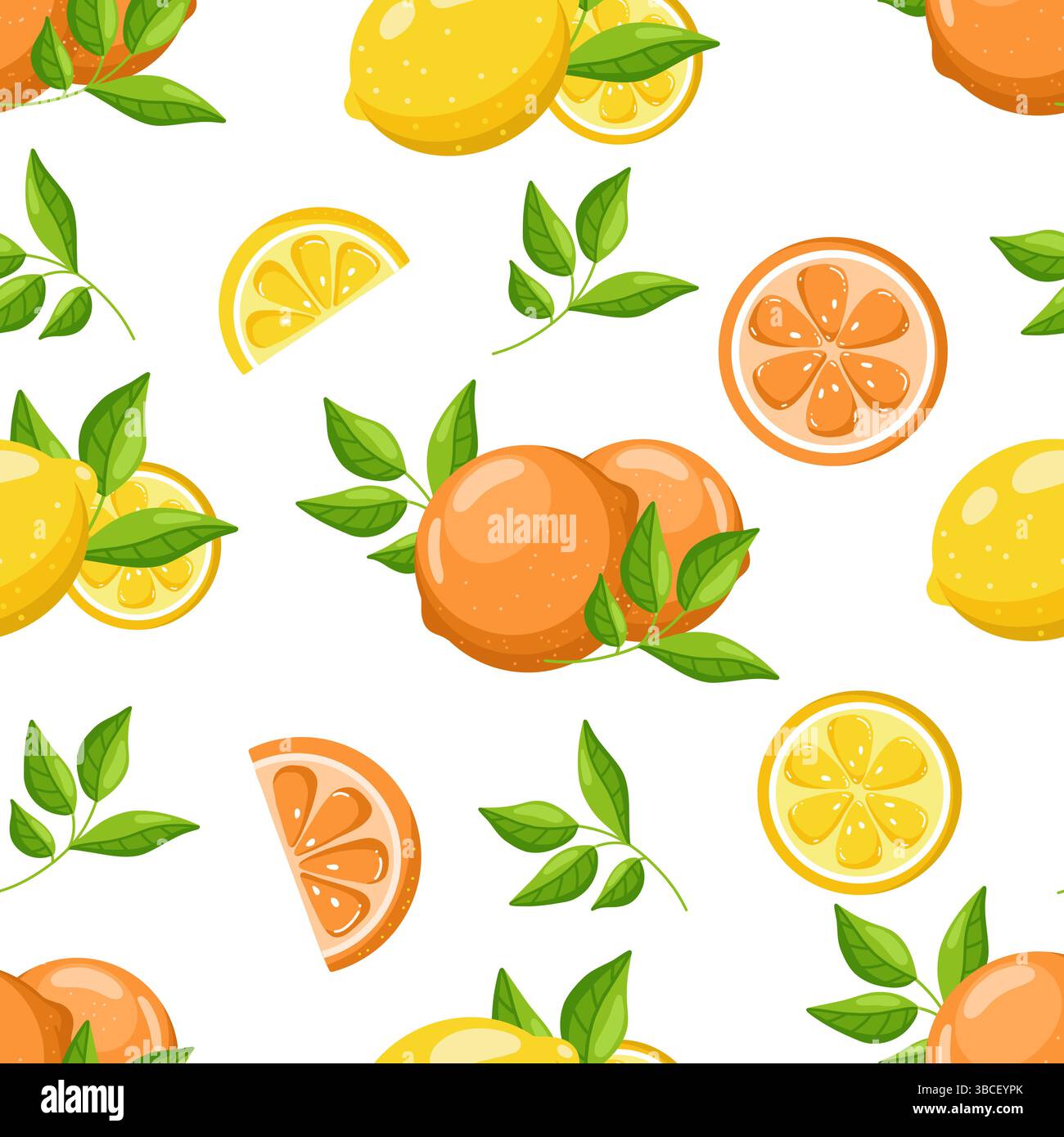 Citrus Seamless Pattern on White Background Stock Vector