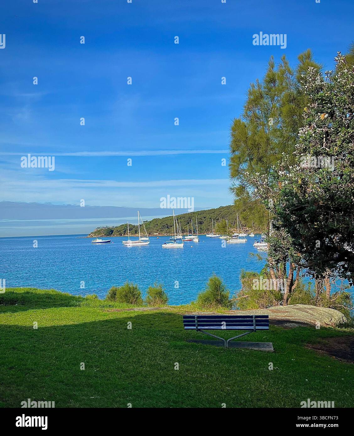 Tranquil coastal park overlooking a serene bay with sailboats anchored under a clear blue sky, perfect for a relaxing summer day. - Smartphone Captured Stock Image
