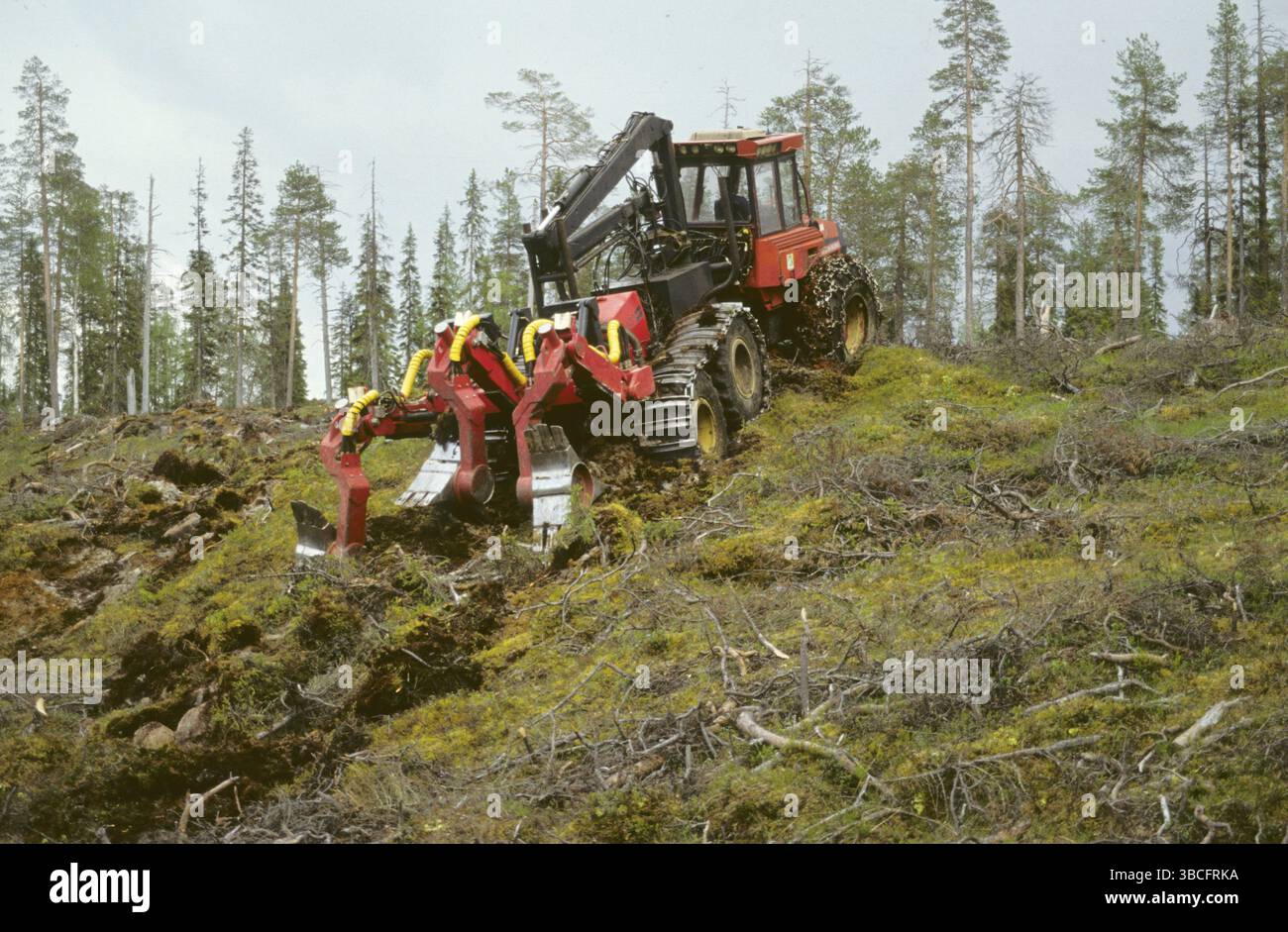 Timber industry, caterpillar at work on clear cut, Finland, Timber ...