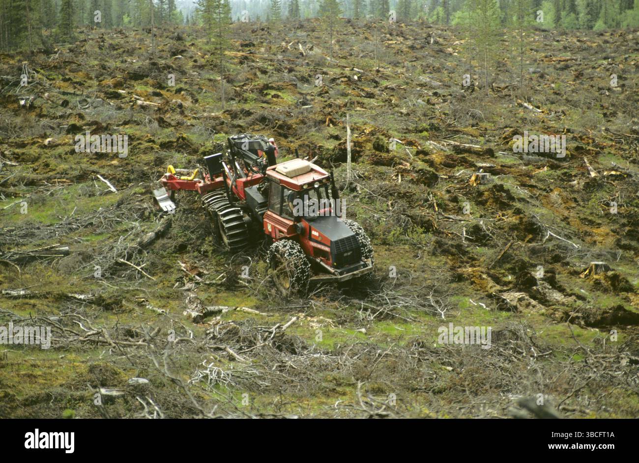 Timber industry, caterpillar at work on clear cut, Finland, Timber ...
