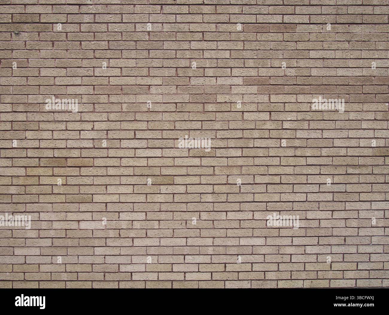 A full frame light brown textured brick wall background Stock Photo