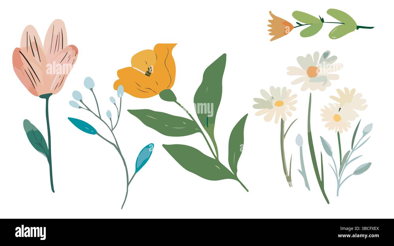 Wild Botanical Floral Vector Hand-Drawn Leaves, Flowers and Plant ...