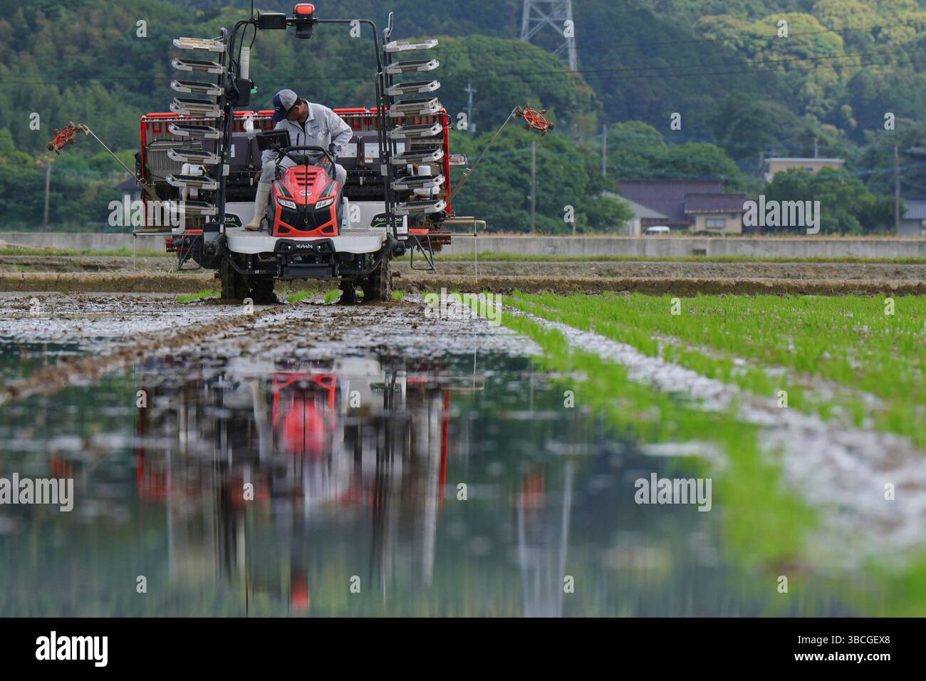 A photo shows rice planting using an autonomous rice planting machine ...