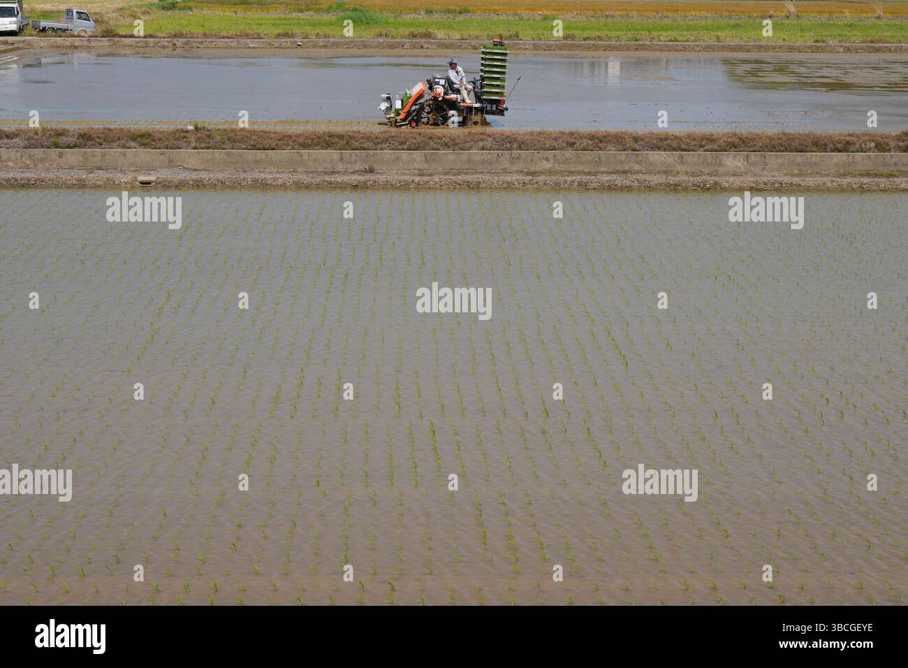 A photo shows rice planting using an autonomous rice planting machine ...