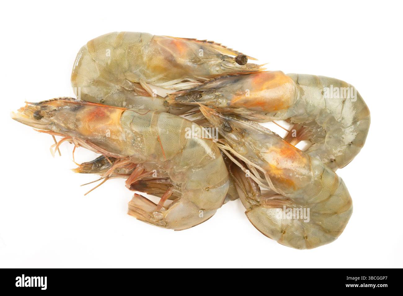 raw shrimp isolated on a white background Stock Photo