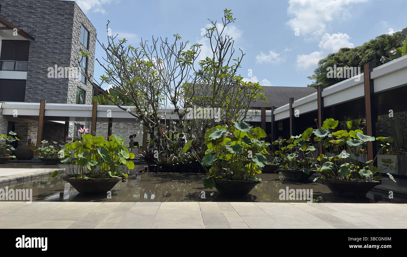 Not just photos, but my way of capturing stories from every moment.✨ Who likes the vibes? - Smartphone Captured Stock Image