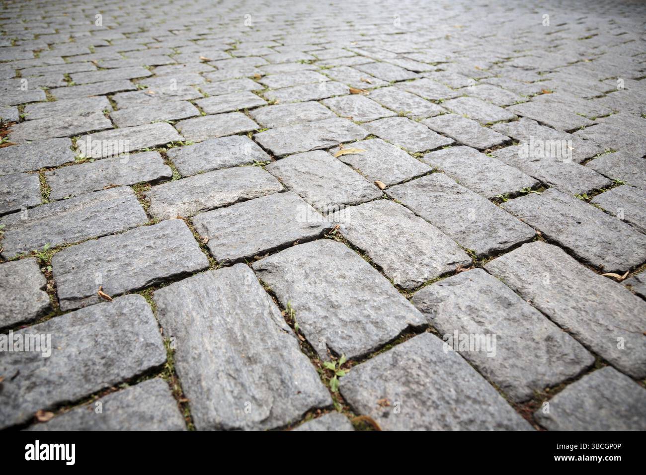 Classic Cobblestone Road Weeds Photo Rubber Floor Mat