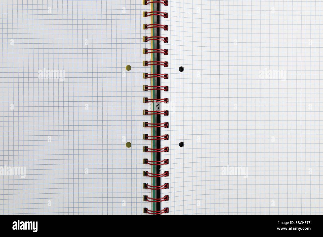 Open blank spiral bound squared notebook. High quality photo Stock Photo