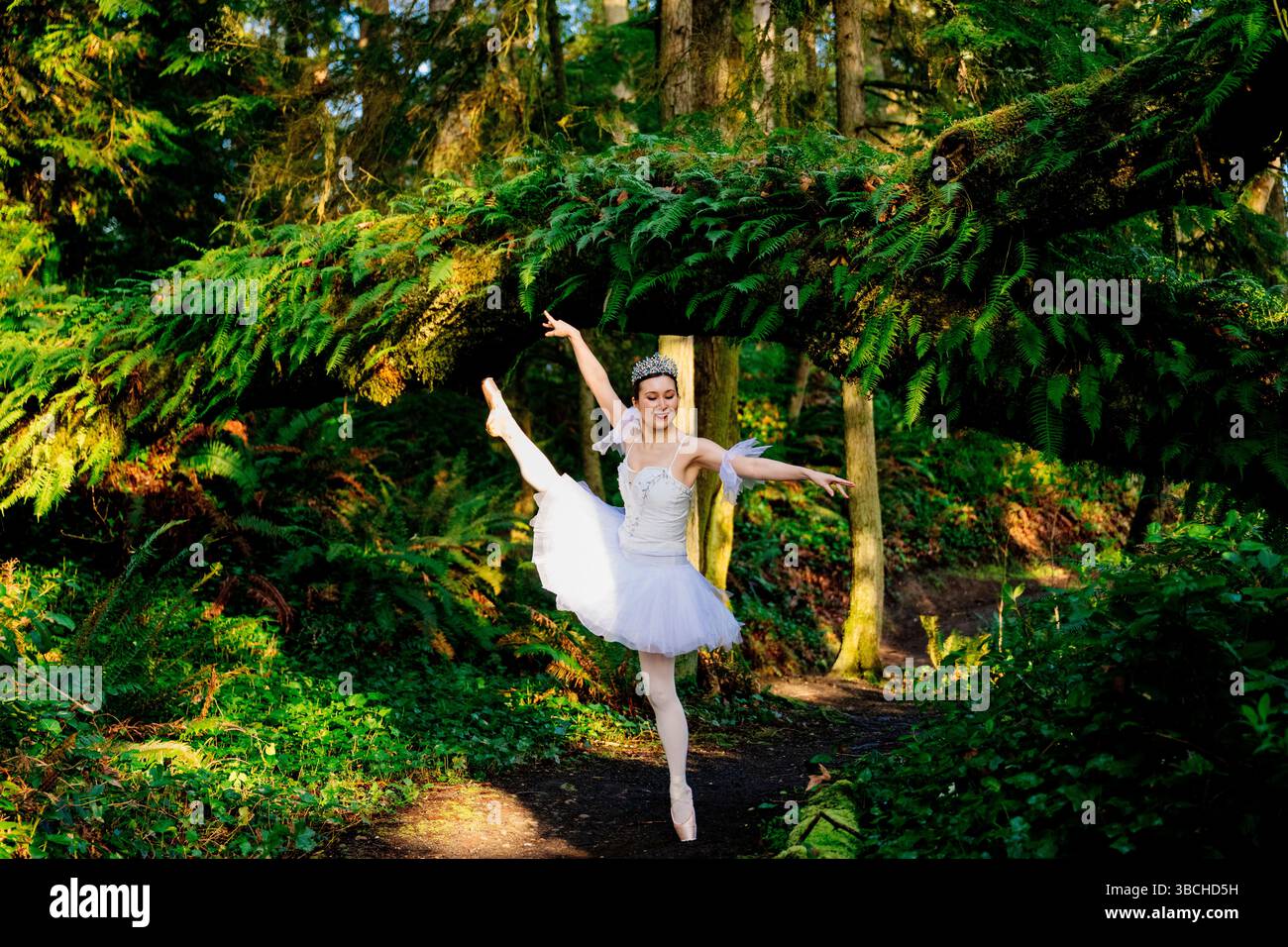 Green dress in art hi-res stock photography and images - Alamy