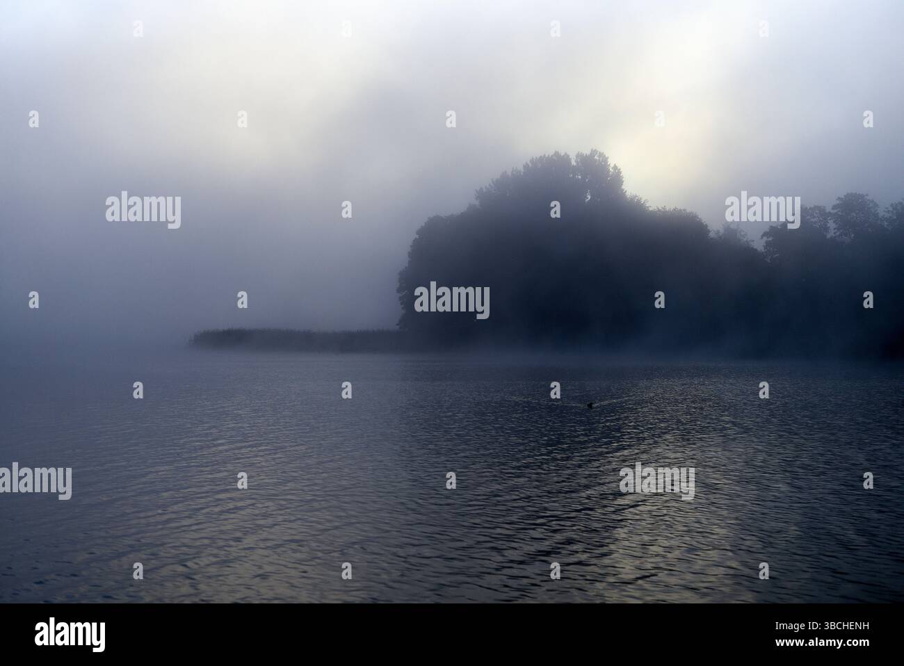 Misty lake at dawn with dense fog and silhouetted trees on the horizon. Mecklenburg Lake Plateau, Germany Stock Photo