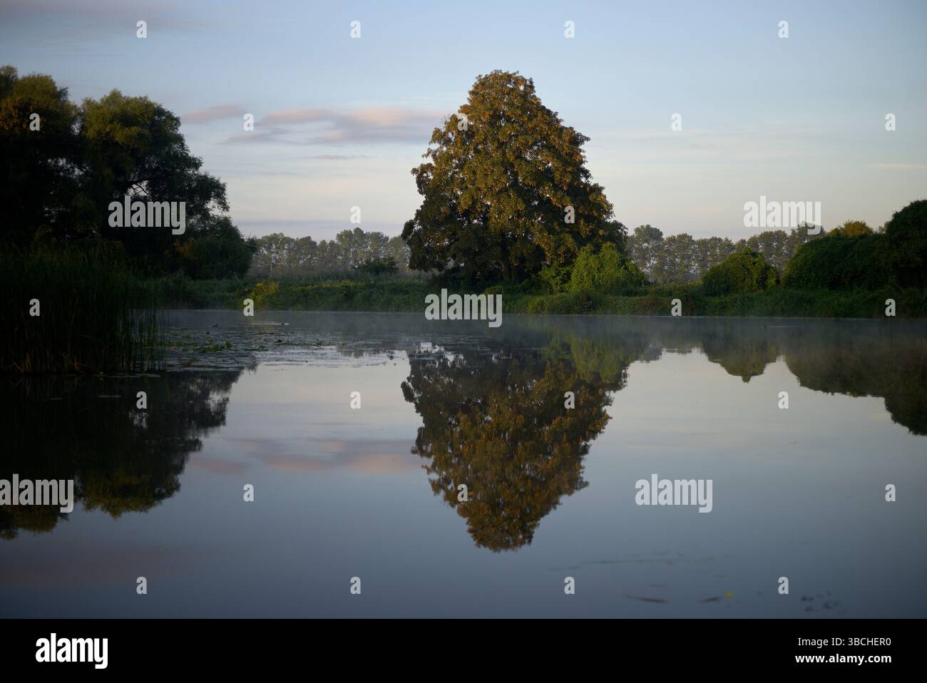 Calm lake reflecting trees and sky in a peaceful natural landscape. Mecklenburg Lake Plateau, Germany Stock Photo