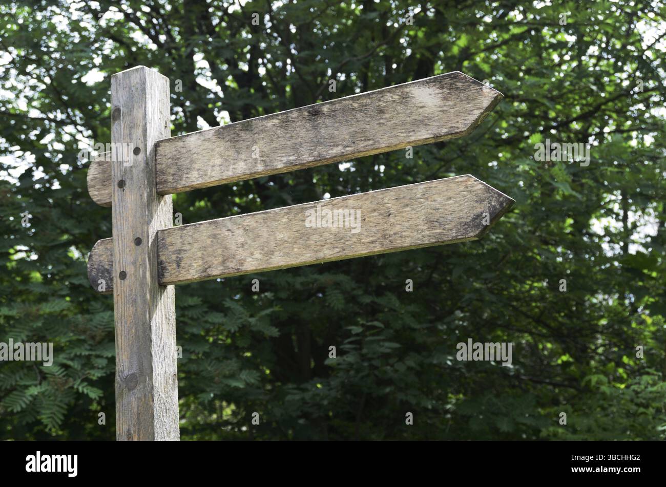 Old blank wooden double pointer in the woods Stock Photo - Alamy