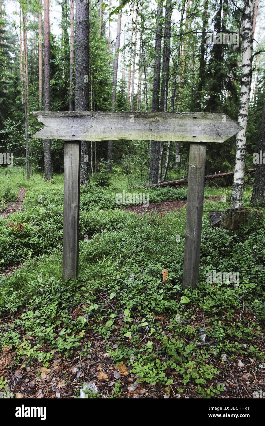 Old empty wooden pointer in the forest Stock Photo - Alamy