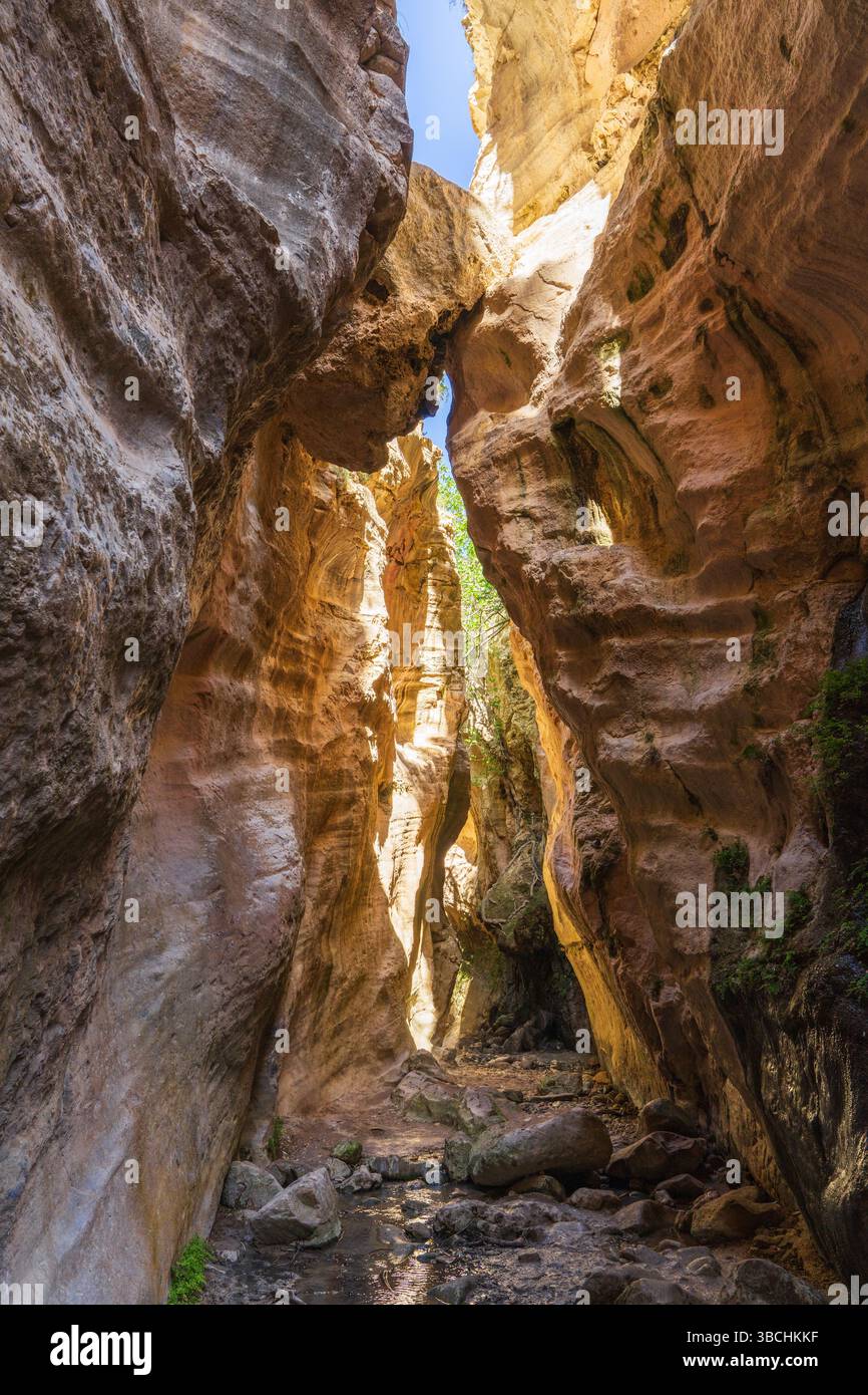 Beautiful scenery of Avakas Gorge in Cyprus, a famous canyon and hiking spot in Paphos area. Concept of traveling, tourism, active lifestyle. Stock Photo
