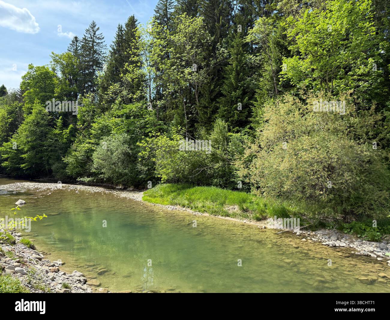 Golfpark Bregenzerwald – Serenity by the Water - Smartphone Captured Stock Image