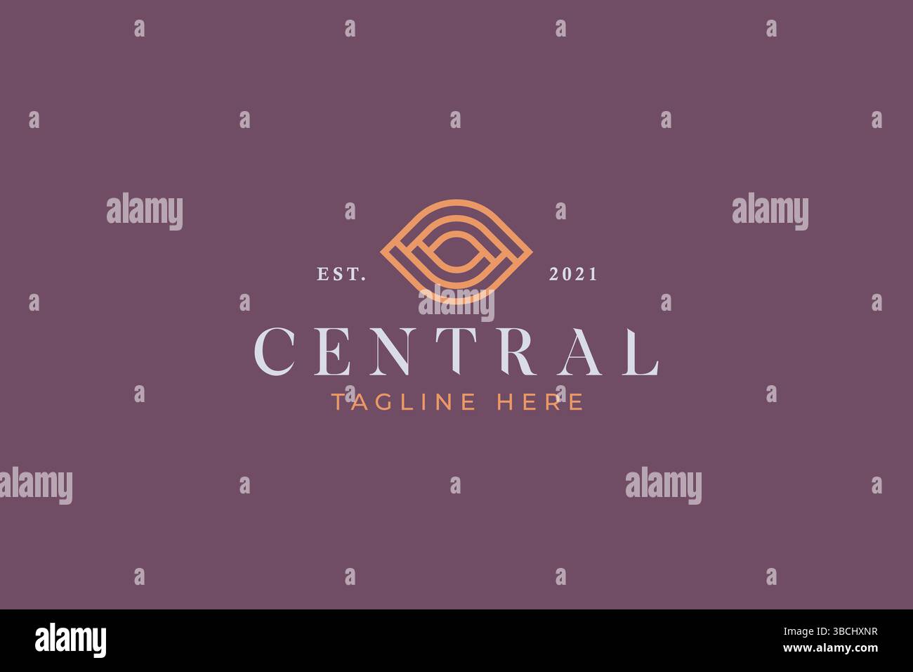 Abstract Optical Eye Minimalist Logo Stock Vector