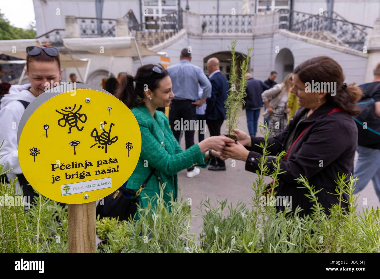 Pula, Croatia. 20th May, 2025. At the Pula Green Market, as part of the ...
