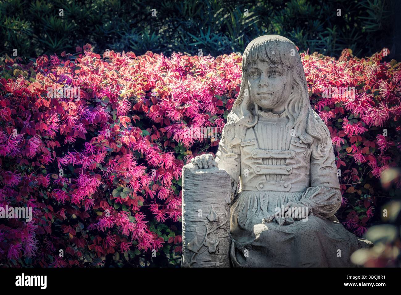 Six year old Gracie Watson died after a fall in 1889. Her grieving parents commissioned a statue at her grave; it has become the most popular site in Stock Photo