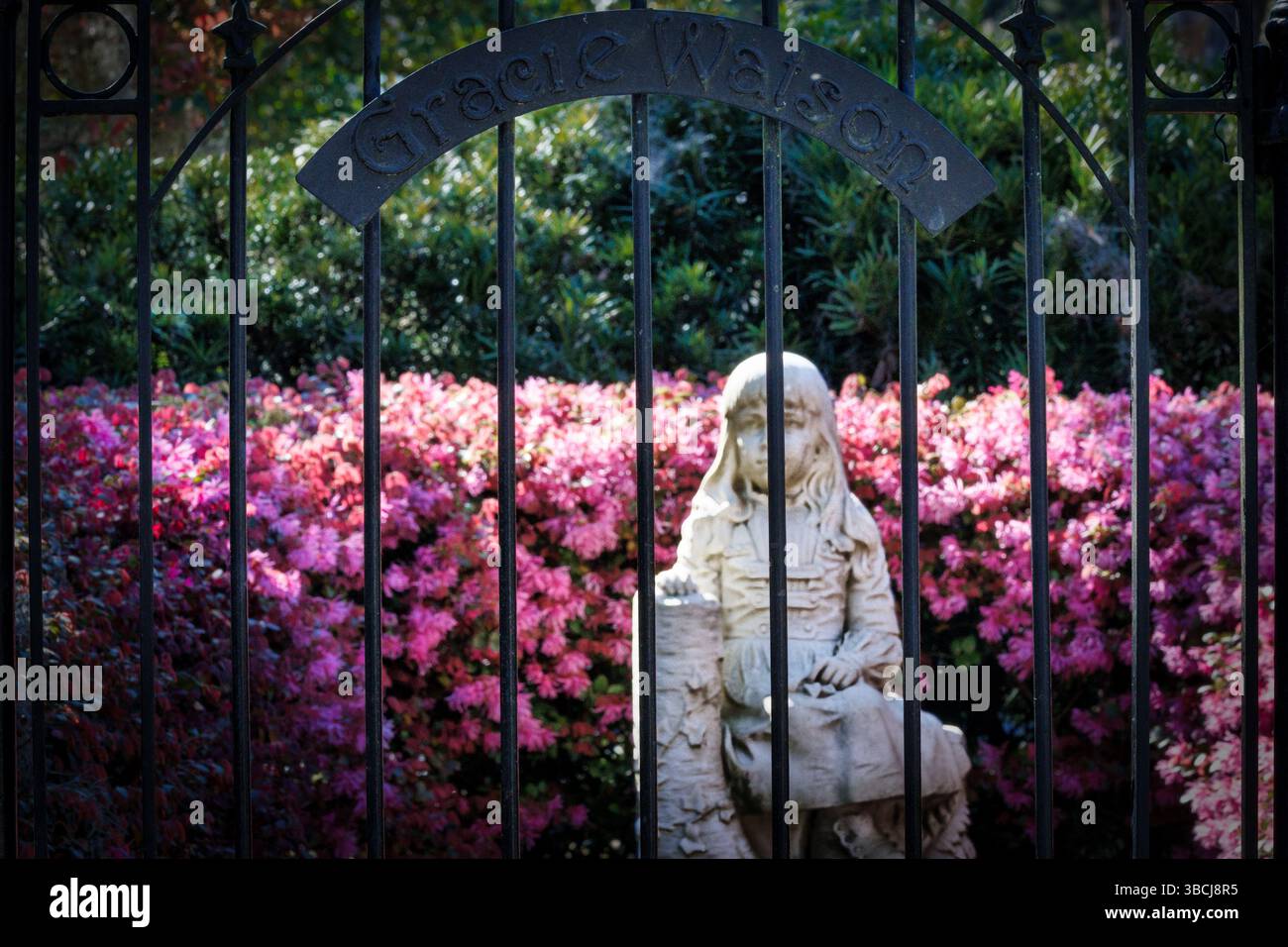 Six year old Gracie Watson died after a fall in 1889. Her grieving parents commissioned a statue at her grave; it has become the most popular site in Stock Photo