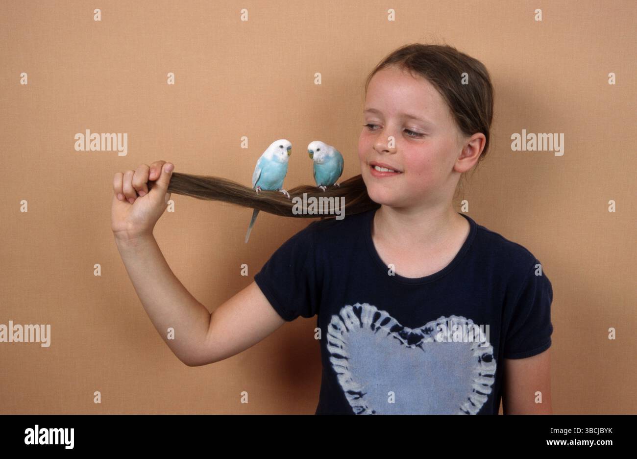 Child with Budgerigars Child with budgerigars (Melopsittacus undulatus) Stock Photo