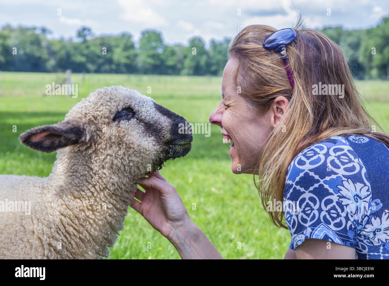Caucasian woman and sheep heads together and fondle the farm animal Stock Photo