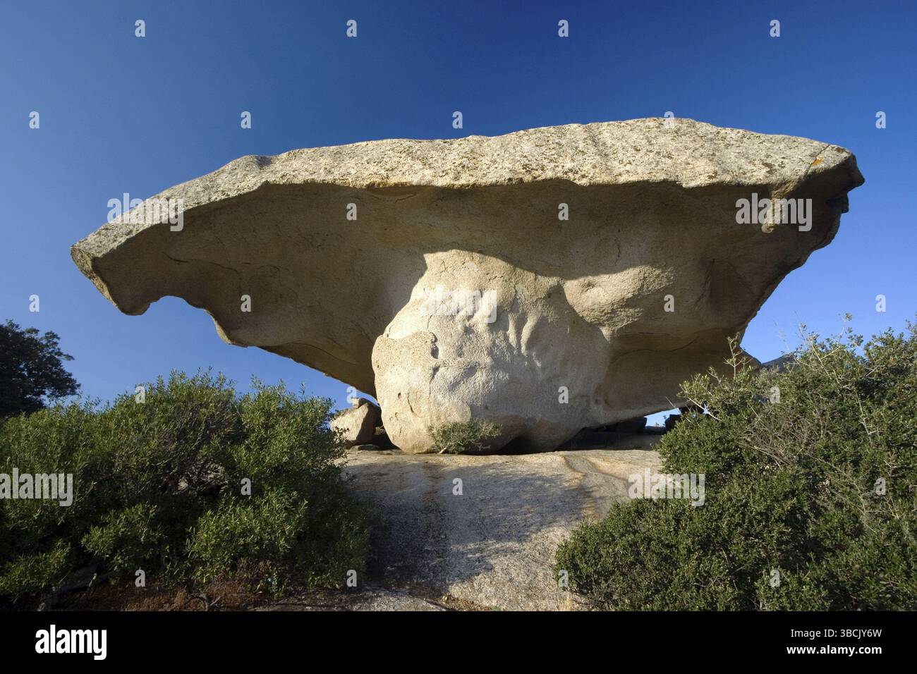 Triagem de blockbusters dermatológicos na prática do GP - Medizinonline, image size:1300x956