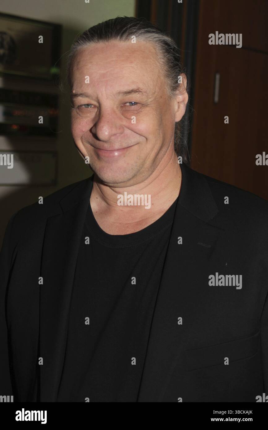 Swedish musician anders eljas in ard tv show das grosse fest zum