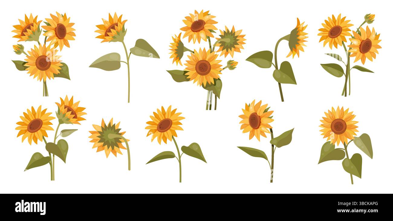 Summer sunflowers set. Beautiful botanical stickers with single ...