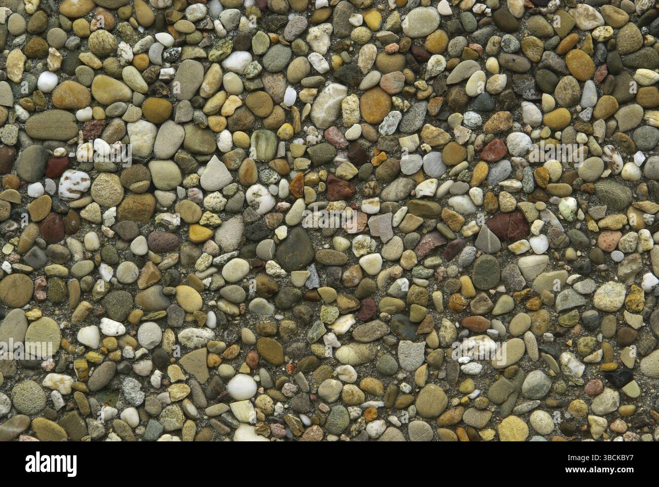 Exposed aggregate concrete Stock Photo