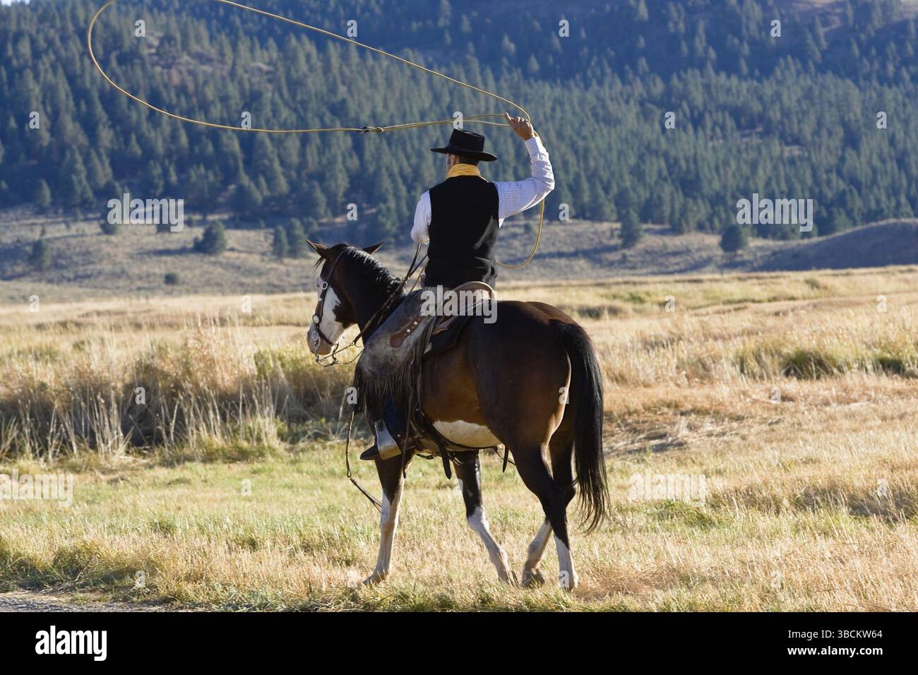 Man in western clothes, riding horse with lasso, Ponderosa Ranch, Oregon, Wild West, western riding, USA, North America Stock Photo
