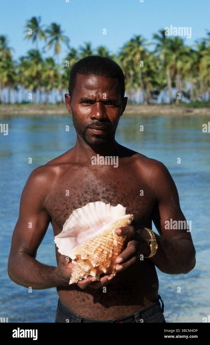 Queen conch dominican republic hi-res stock photography and images - Alamy