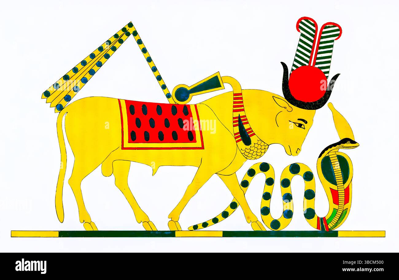 Illustration of Mnevis, sacred bull deity of ancient Egypt, from Pantheon Egyptien by Dubois, 19th century France. Detailed mythological engraving. Stock Photo