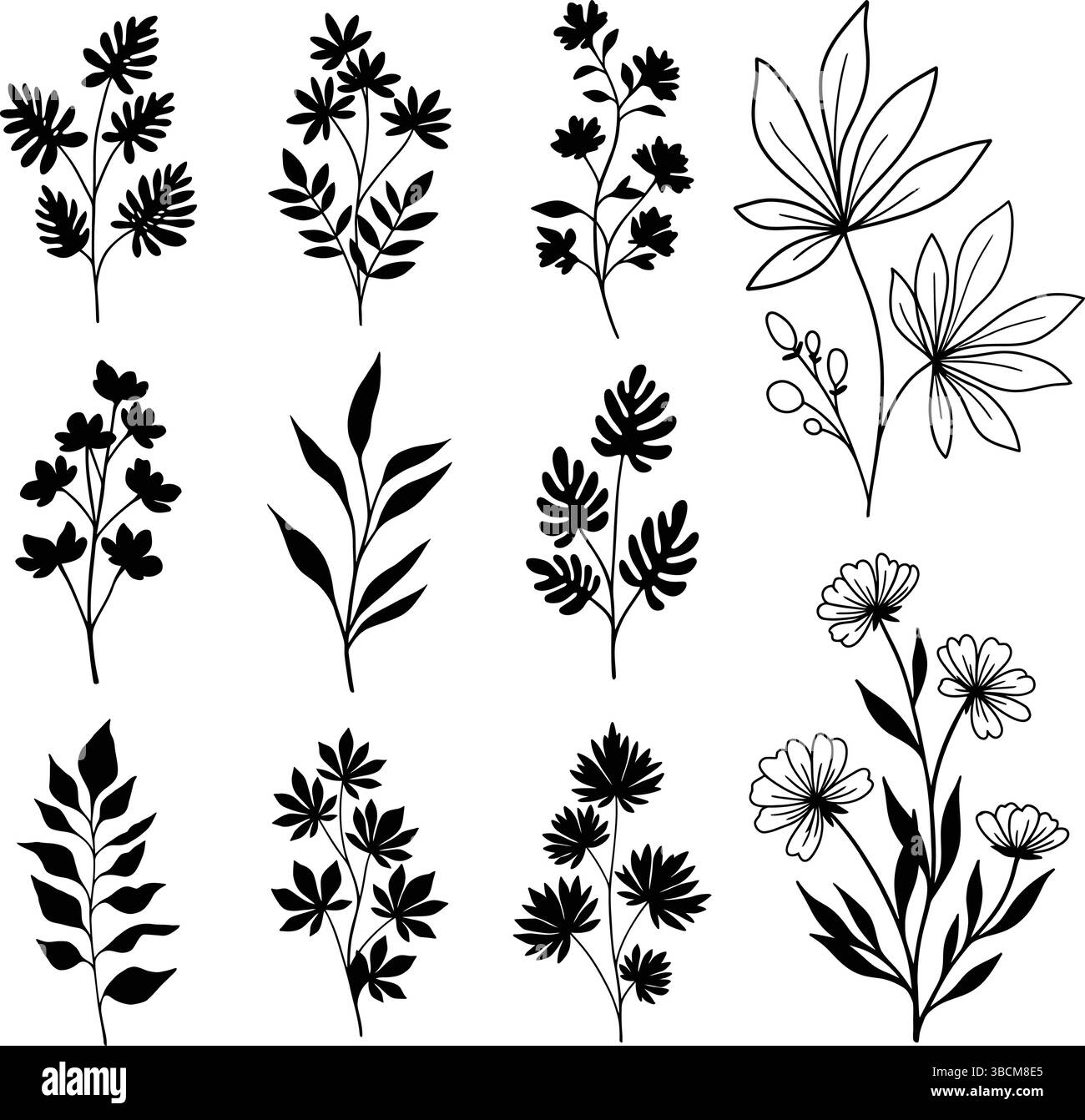 Silhouette Collection of Wild Botanical Leaves and Herbs on White Stock Vector