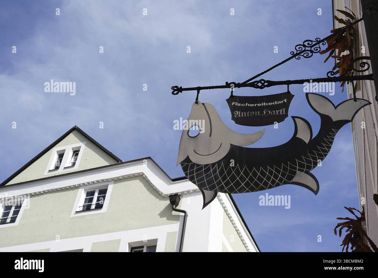 Schilld, fish, Fischereibedarf Hartl, shop, Passau, Bavaria Germany Stock Photo