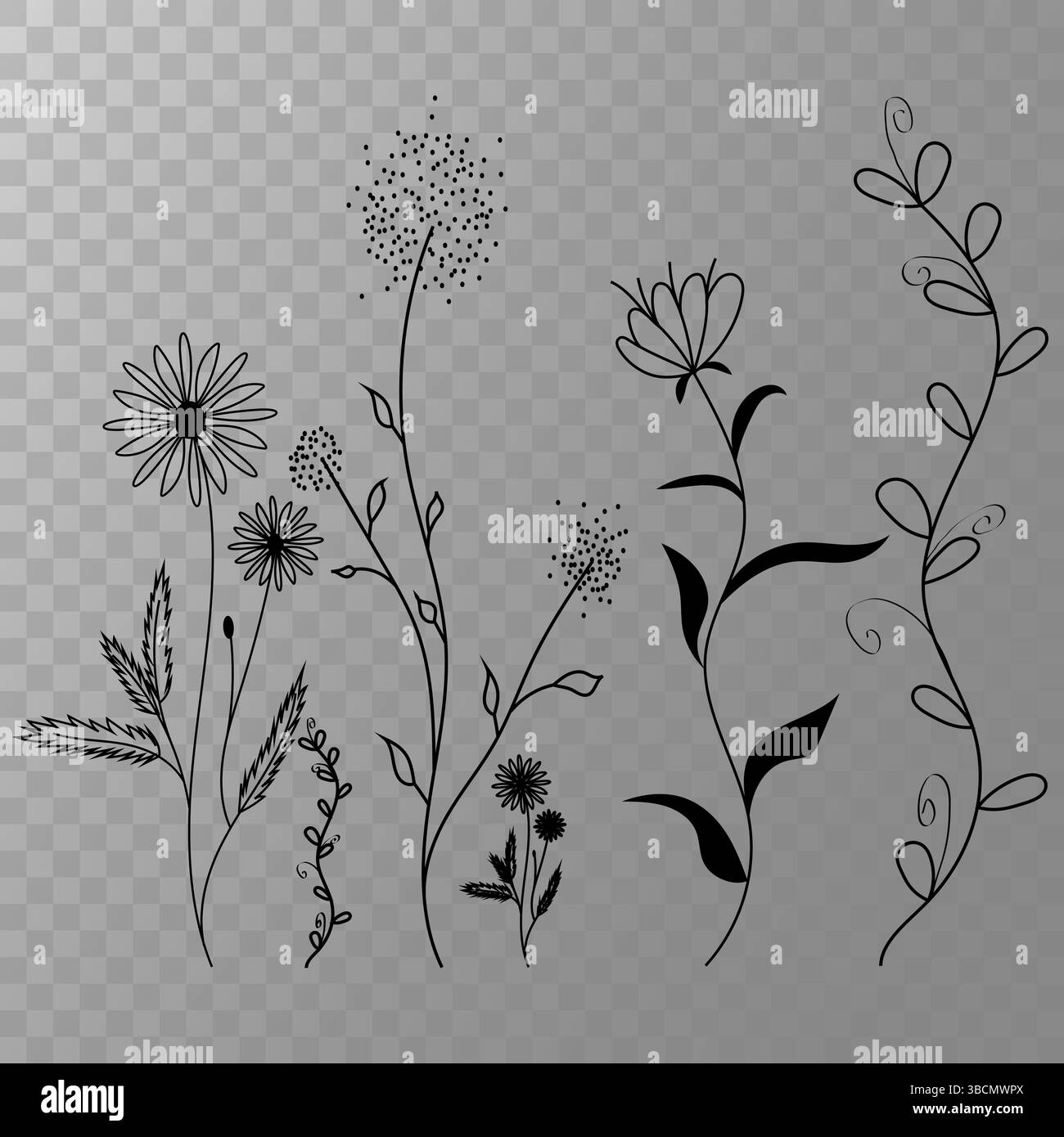 Floral line art. Black flower illustration. Vector botanical drawing ...