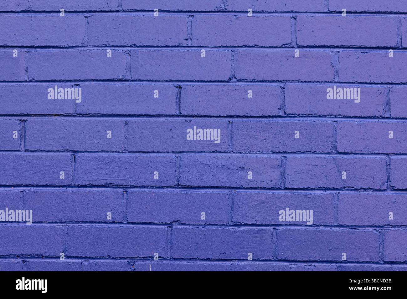 purple painted brick wall Stock Photo
