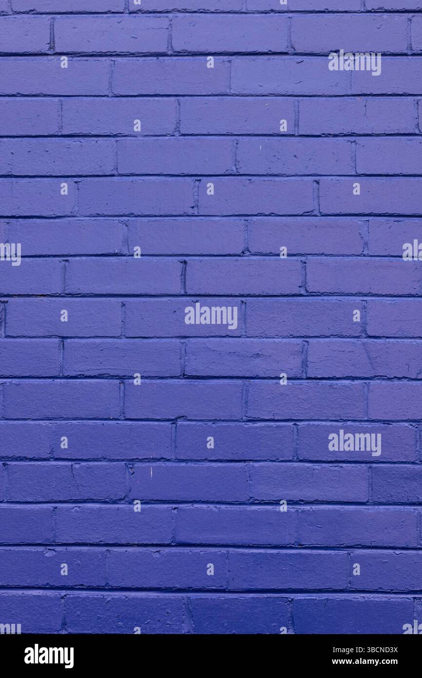 purple painted brick wall Stock Photo