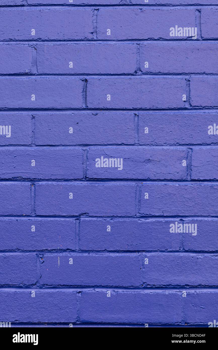 purple painted brick wall Stock Photo