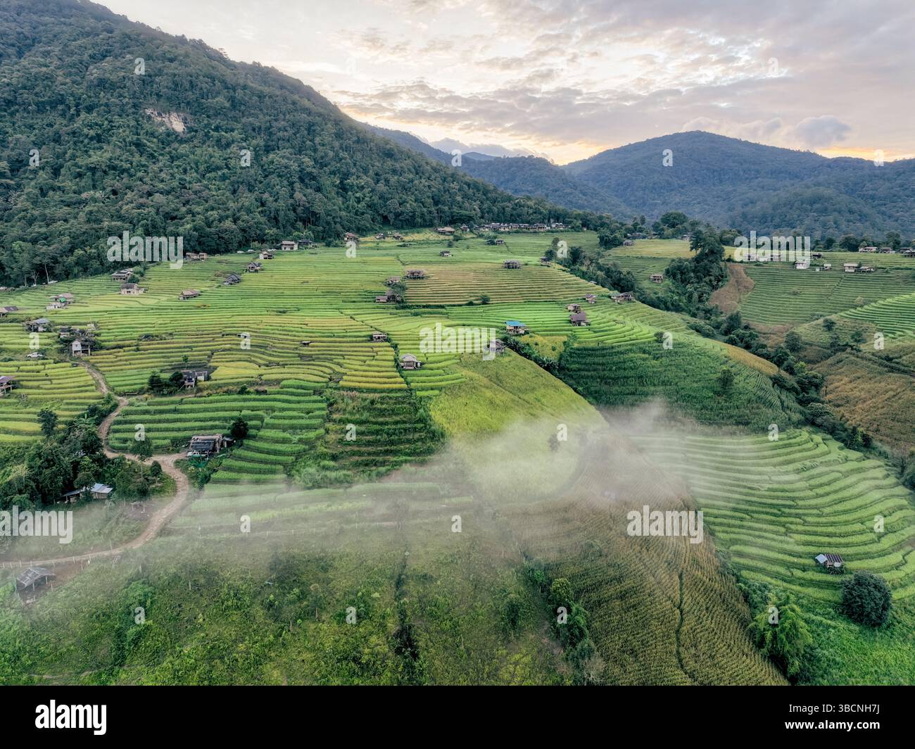 Aerial shot of foggy terraced rice fields and small wooden huts in ...