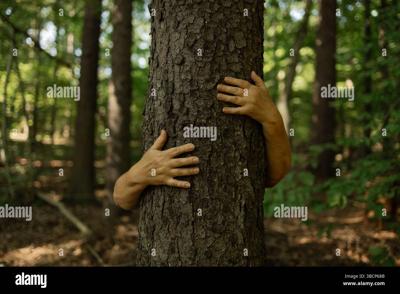 Person Hugging Tree with Open Hands in Forest Showing Deep Connection ...