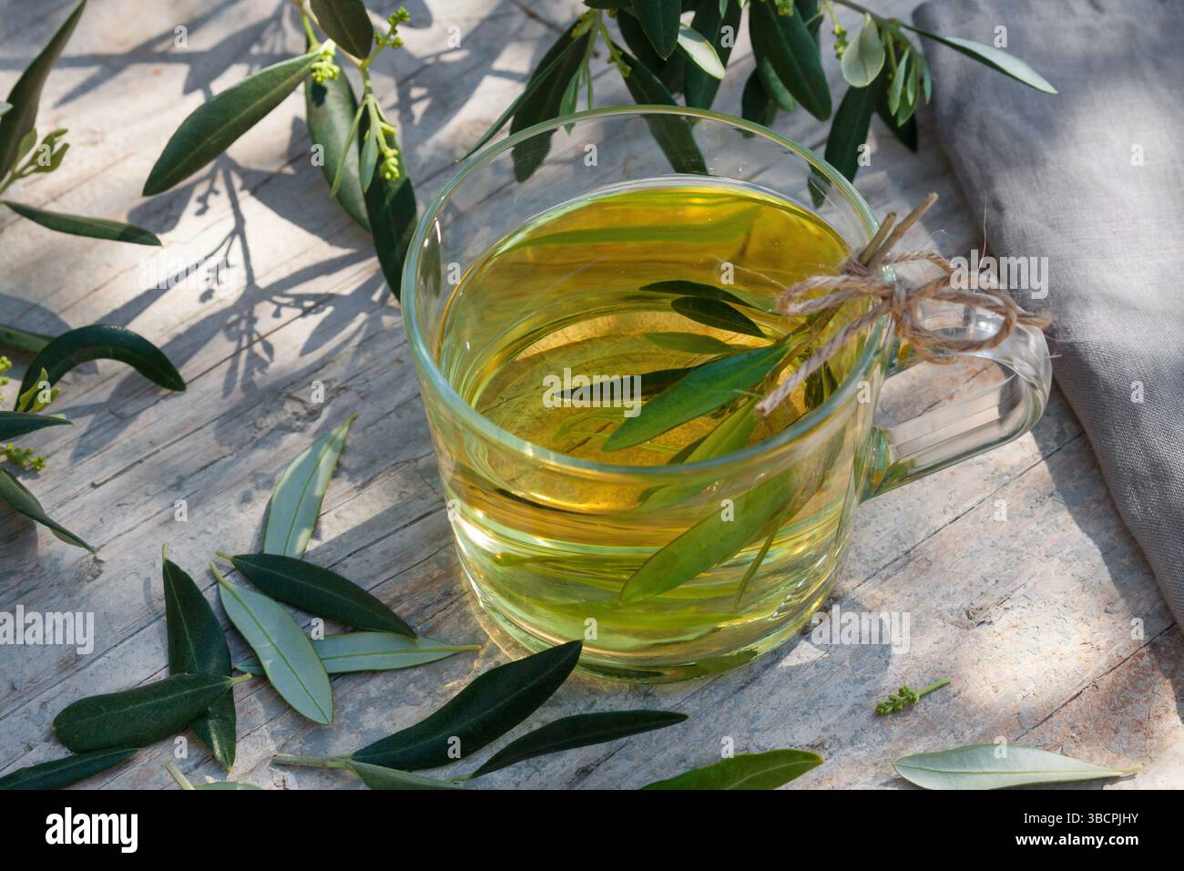 olive tree (Olea europaea ssp. sativa), Homemade tea from olive leaves ...