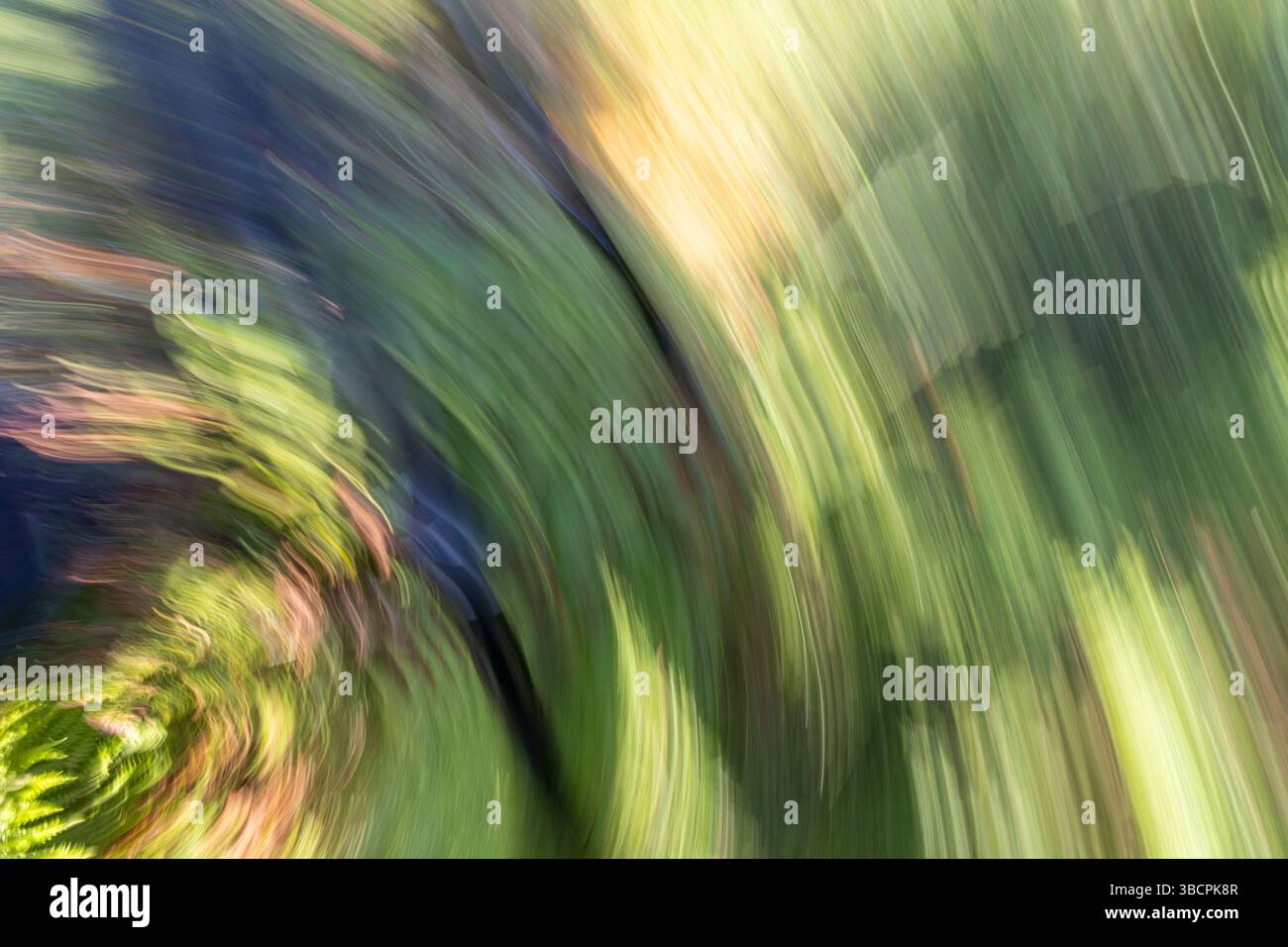 Dynamic flow vibrant hues create hi-res stock photography and images ...