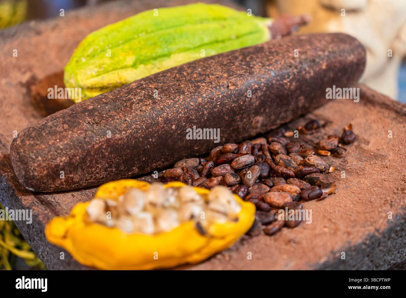 Cocoa Beans and Cocoa fruit in Mijas, Malaga, Spain Stock Photo