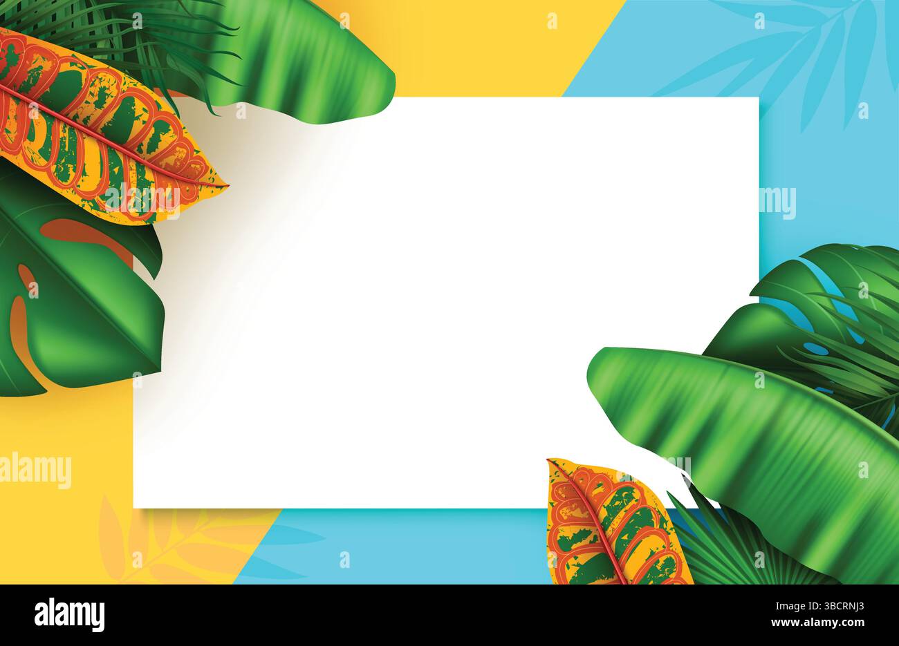 Tropical summer background template. Summer greeting card with tropical leaves element, Vector illustration. Stock Vector
